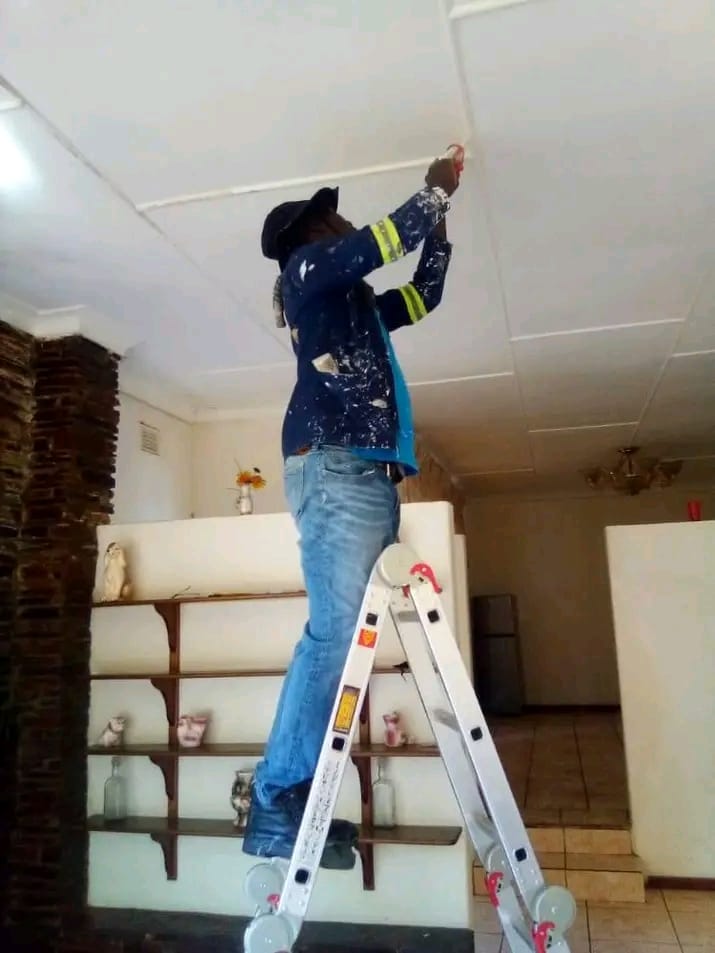 Ceiling Installation Services